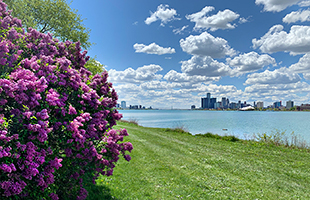 Lilac Season View of Detroit from Belle Isle
